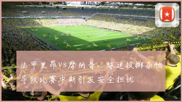 法甲里昂vs摩纳哥，球迷投掷杂物导致比赛中断引发安全担忧